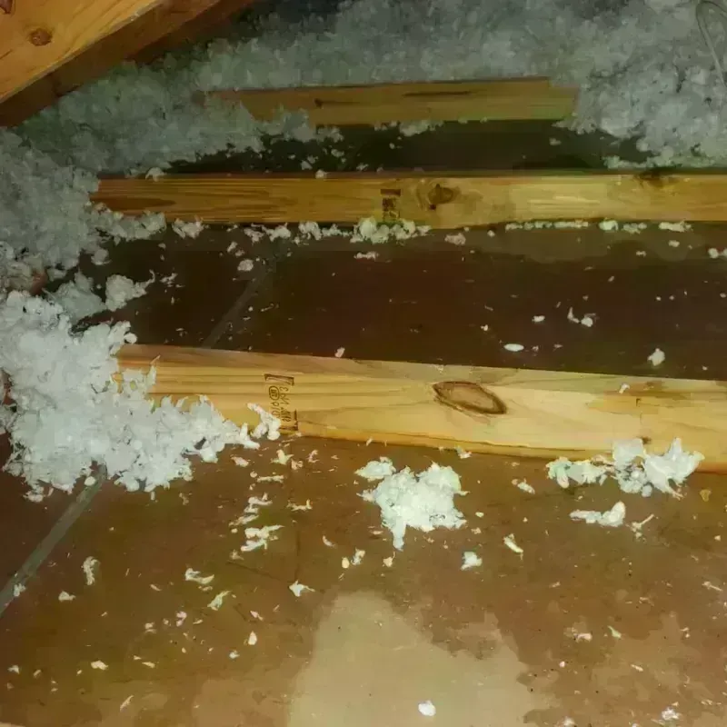 Attic Water Damage in University Park, NM